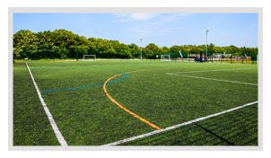 Play <a href='/football'><a href='/leagues'>6 A Side</a> Football</a> in Brentwood (The Brentwood Centre) | Powerplay